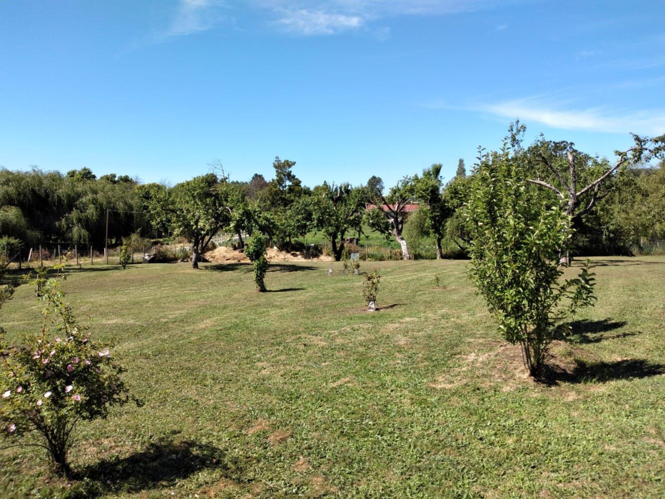 Foto 31